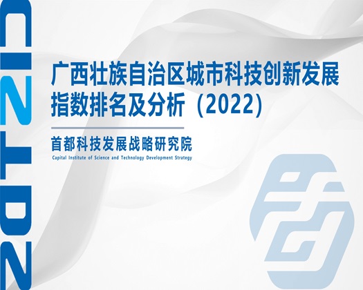 女人插插插【成果发布】广西壮族自治区城市科技创新发展指数排名及分析（2022）